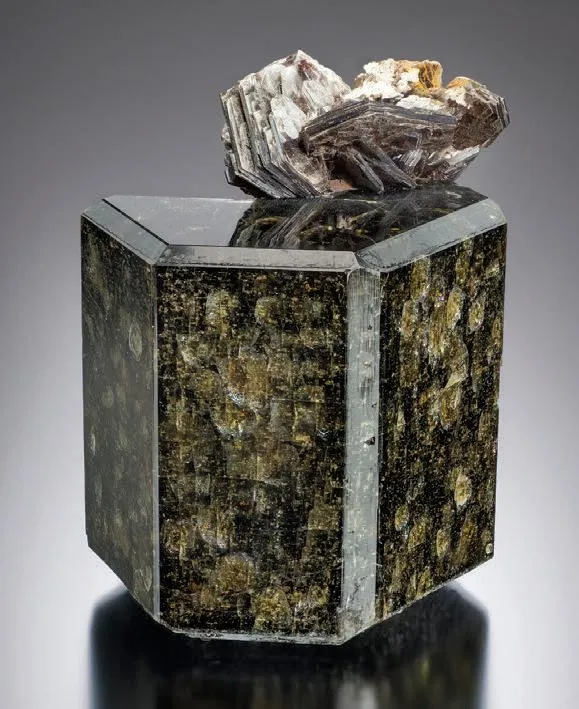 Fluorapatite, Muscovite image