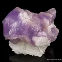 Fluorapatite on Cleavelandite - image 3