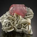 Fluorapatite on Muscovite - image 1