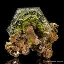 Fluorapatite on Muscovite - image 1