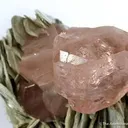 Fluorapatite on Muscovite - image 4