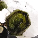 Fluorapatite on Quartz - image 3