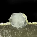 Fluorapatite on Smoky Quartz With Arsenopyrite, Calcite, Siderite - image 6
