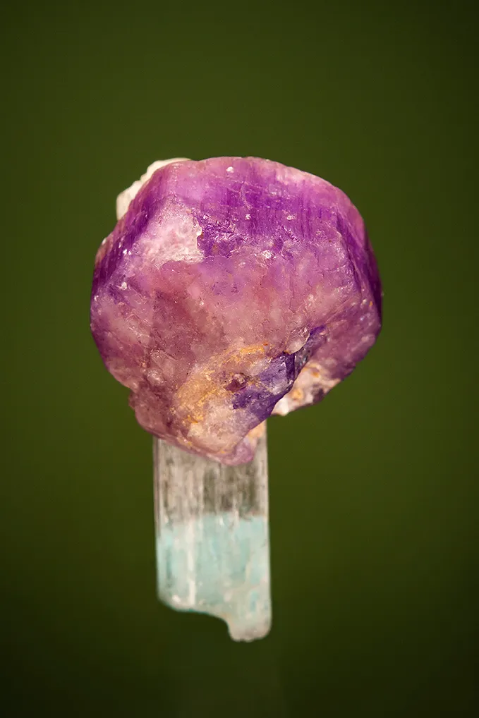 Fluorapatite on Spodumene image