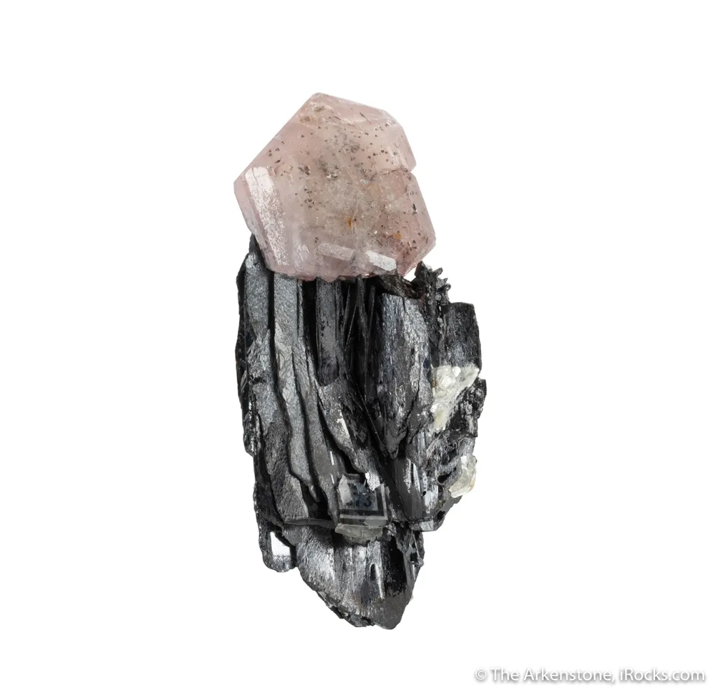 Fluorapatite on Tantalite-(Fe) image