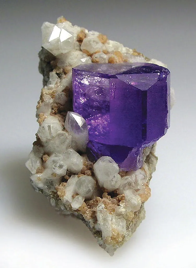 Fluorapatite, Quartz image