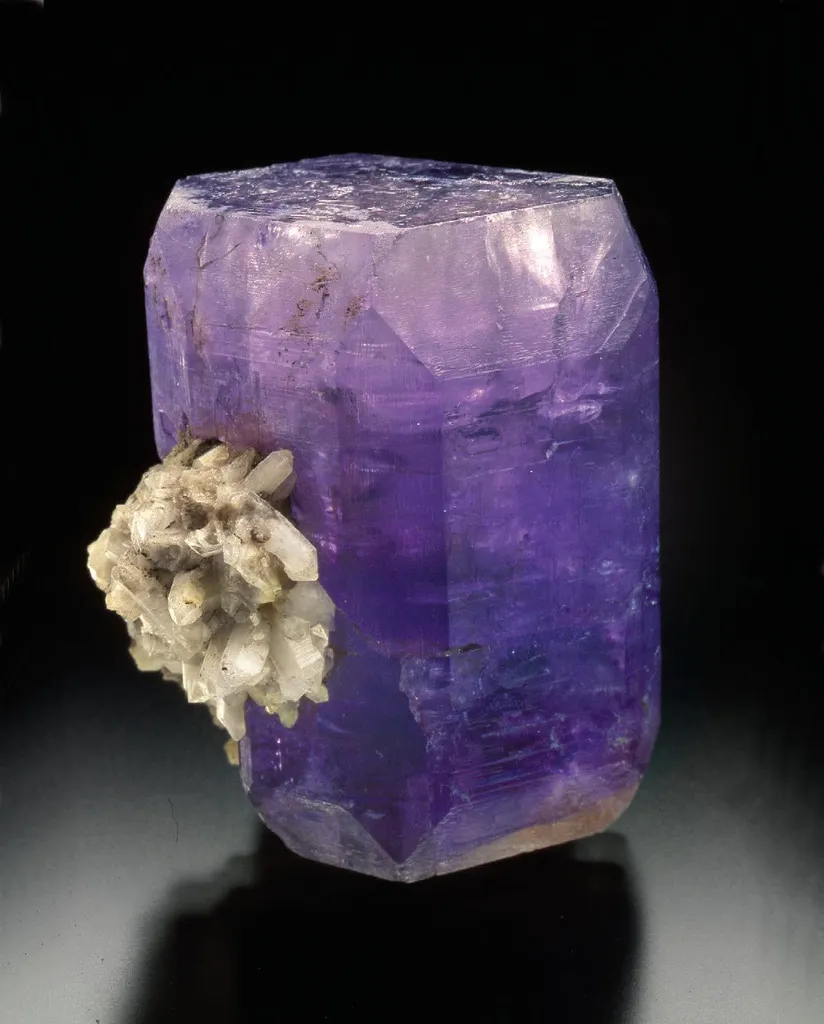 Fluorapatite, Quartz image