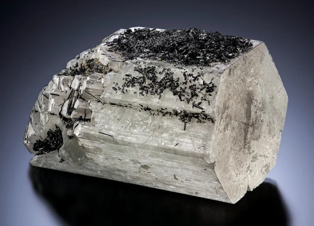 Fluorapatite, Schorl image