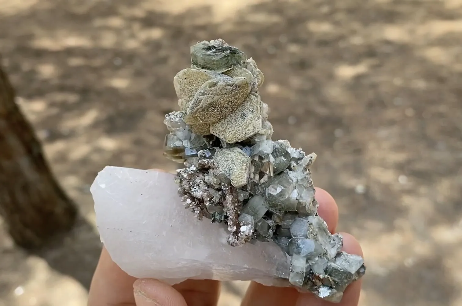 Fluorapatite, Siderite, Quartz - image 5