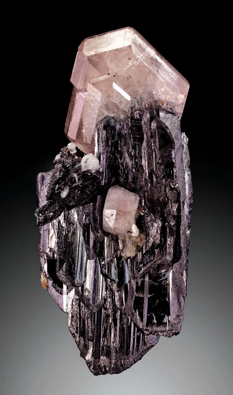 Fluorapatite, Tantalite-(Fe) - image 1