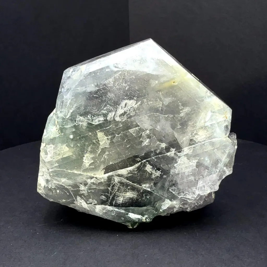 specimen video
