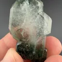 Fluorapatite with Actinolite - image 1