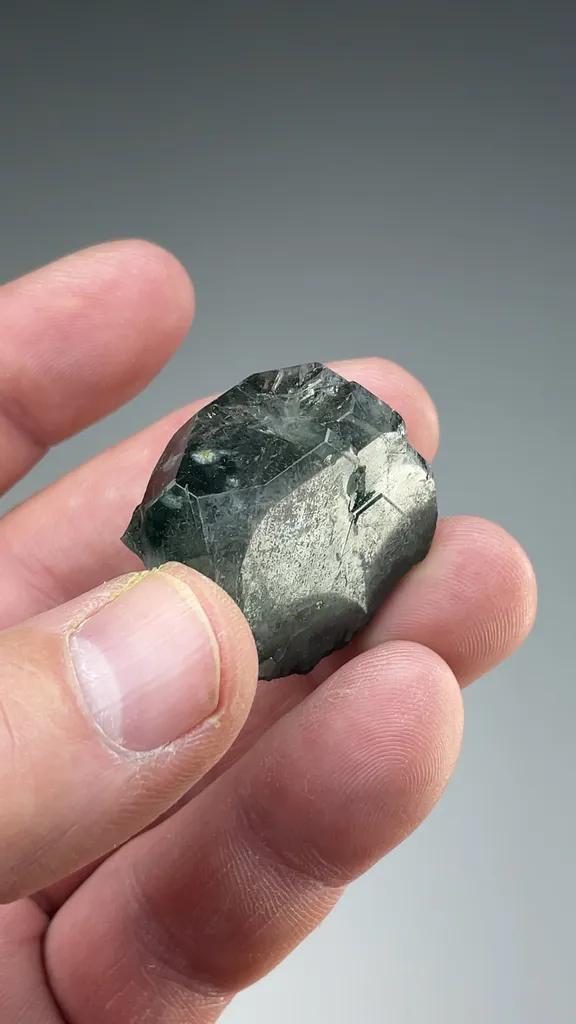 Fluorapatite with Actinolite - image 2