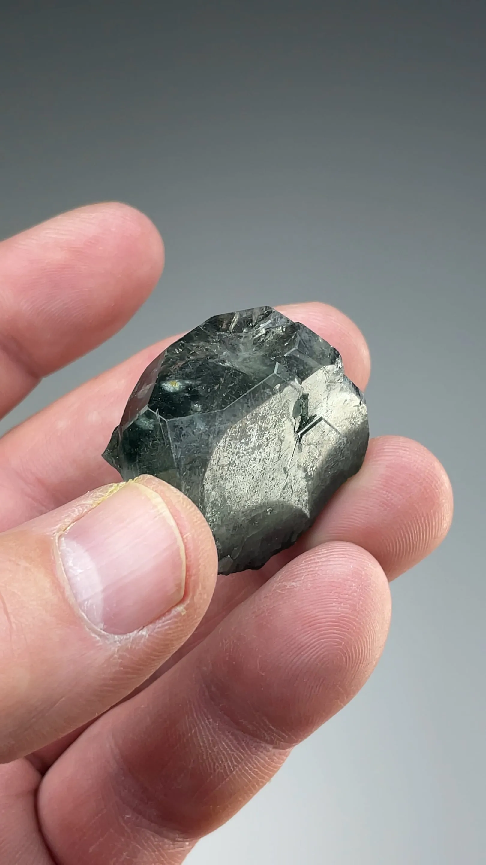 Fluorapatite with Actinolite - image 2