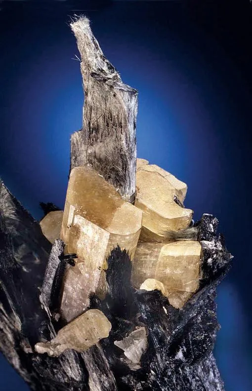 Fluorapatite with Actinolite - image 1