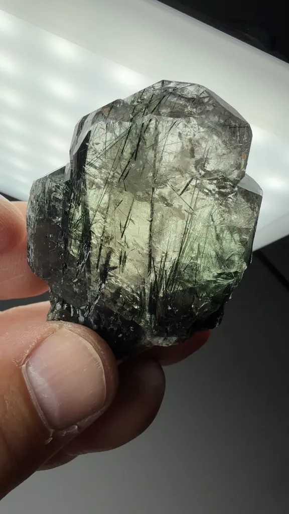 Fluorapatite with Actinolite - image 2