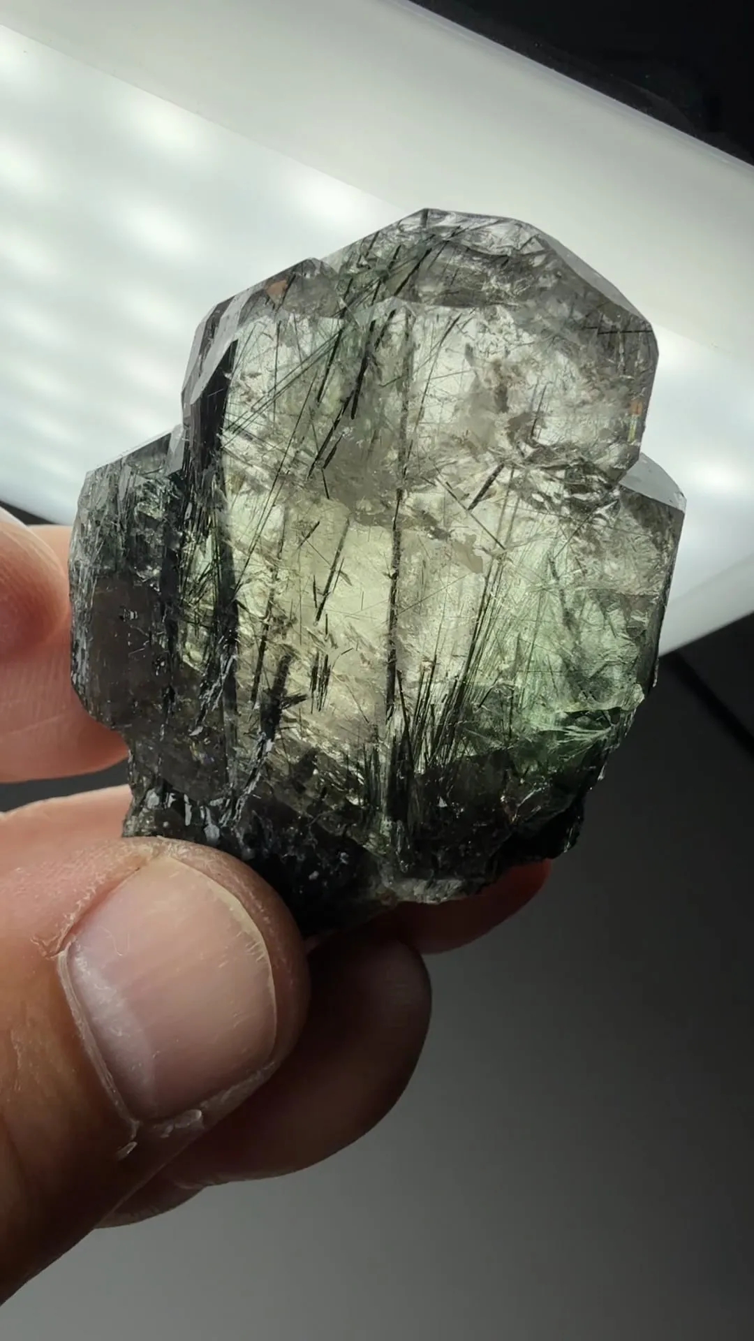 Fluorapatite with Actinolite - image 2