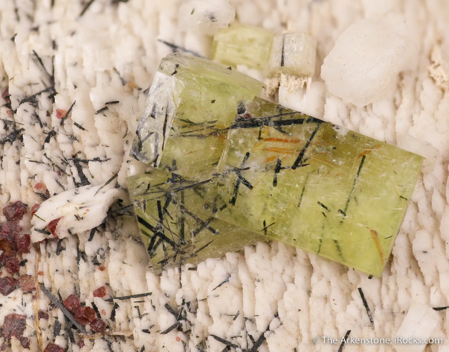 Fluorapatite with Aegirine and Kentbrooksite on Feldspar - image 4