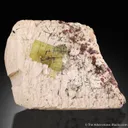 Fluorapatite with Aegirine and Kentbrooksite on Feldspar - image 1
