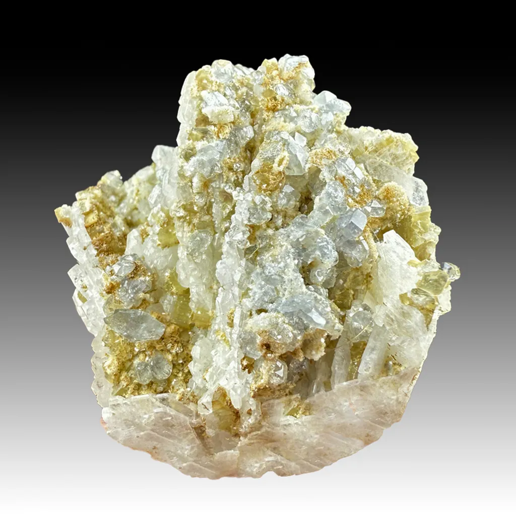 Fluorapatite with Albite (1657b) image