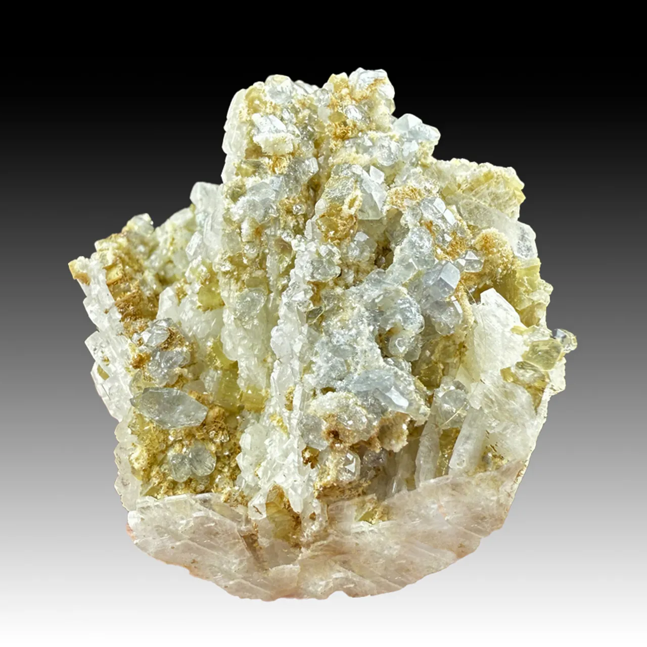 Fluorapatite with Albite (1657b) - image 1
