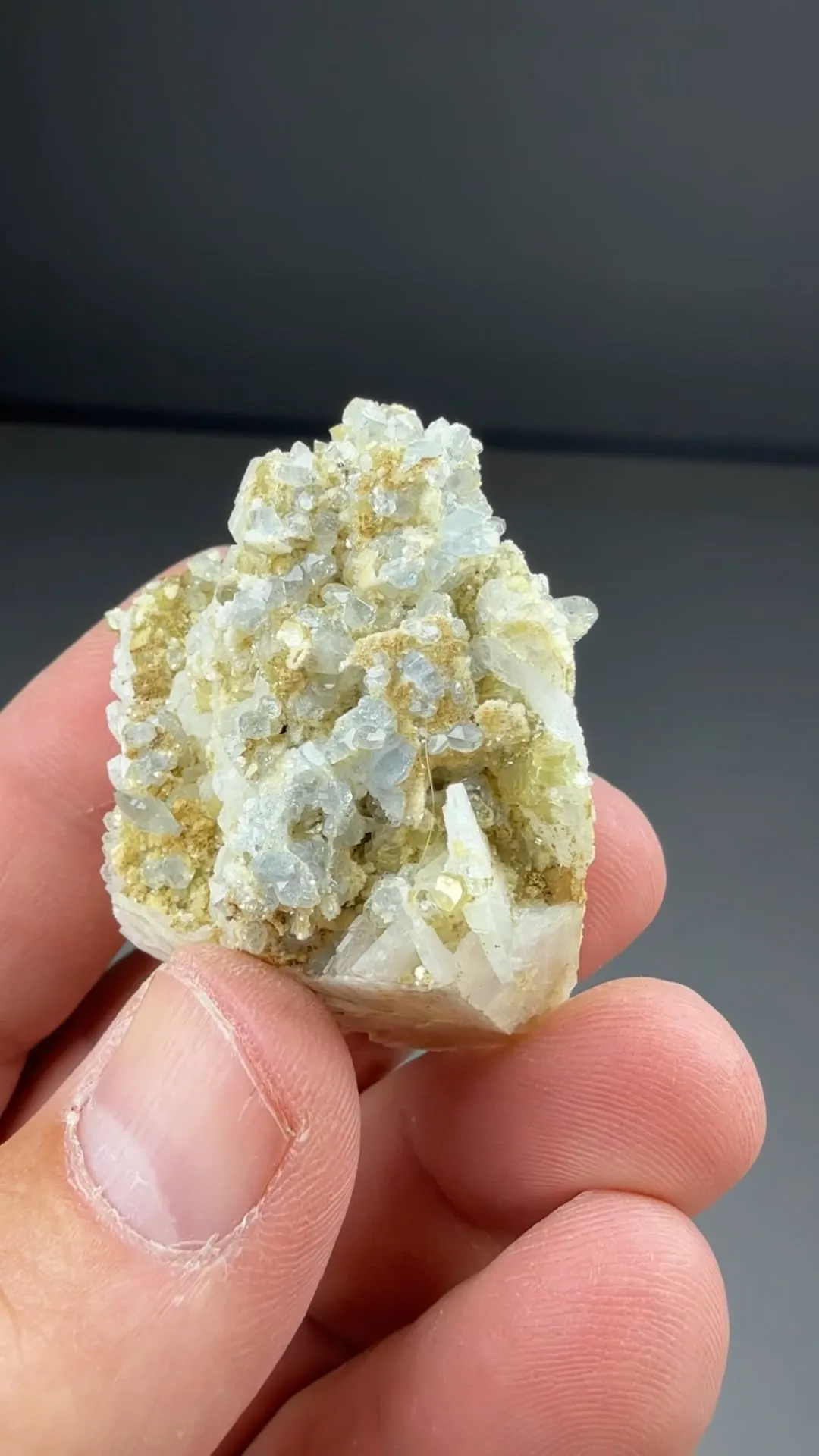 Fluorapatite with Albite (1657b) - image 2