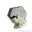 Fluorapatite with Albite - image 5