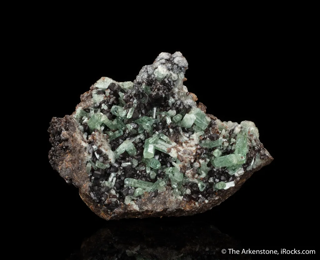 Fluorapatite with Andradite image