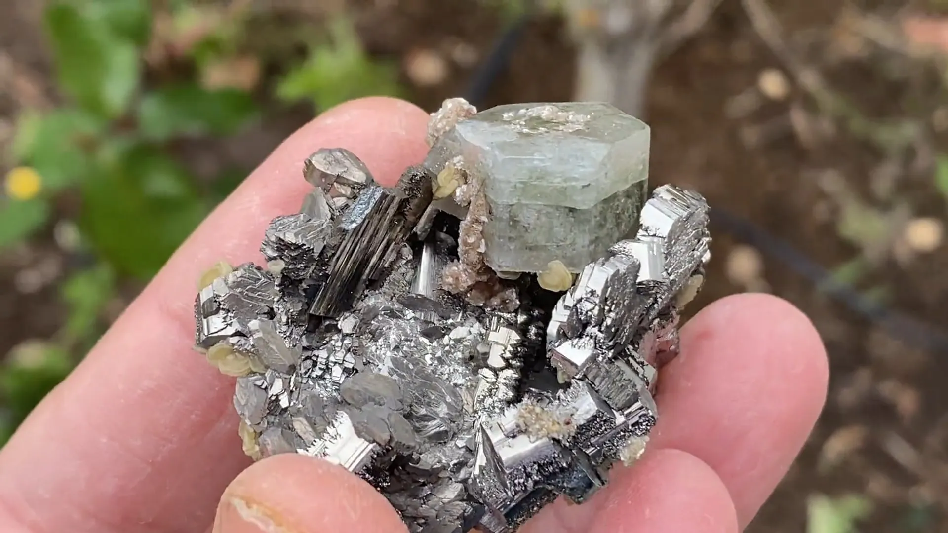 Fluorapatite with Arsenopyrite - image 5
