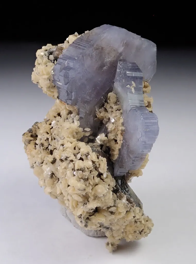Fluorapatite with Arsenopyrite and Siderite image