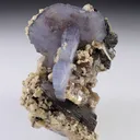Fluorapatite with Arsenopyrite and Siderite - image 4