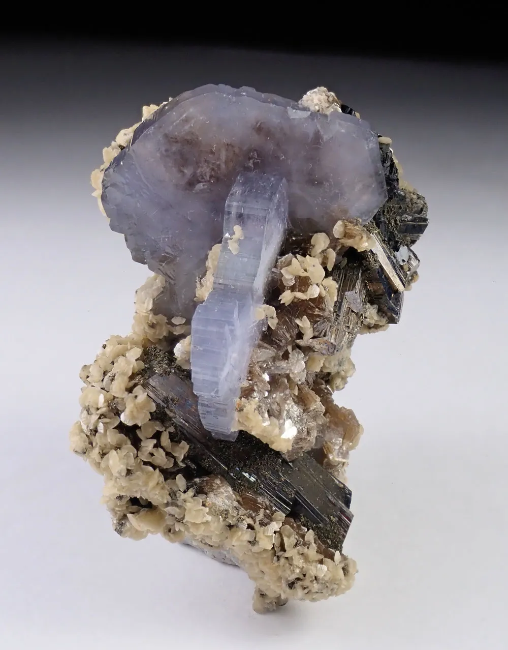 Fluorapatite with Arsenopyrite and Siderite - image 4