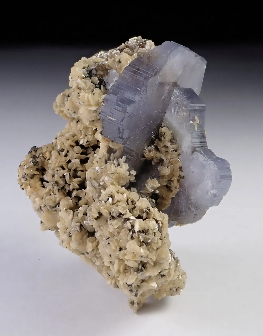 Fluorapatite with Arsenopyrite and Siderite - image 6