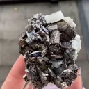 Fluorapatite with Arsenopyrite - image 5