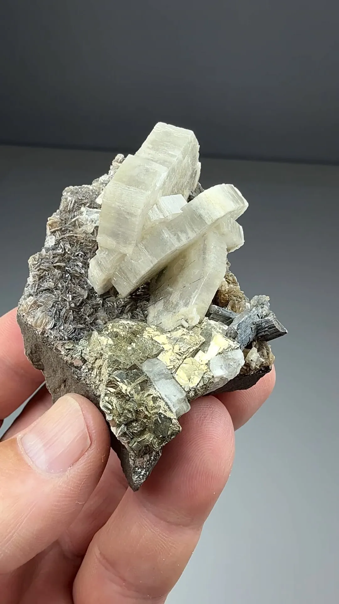 Fluorapatite with Arsenopyrite, Pyrite, Muscovite (1265) - image 2