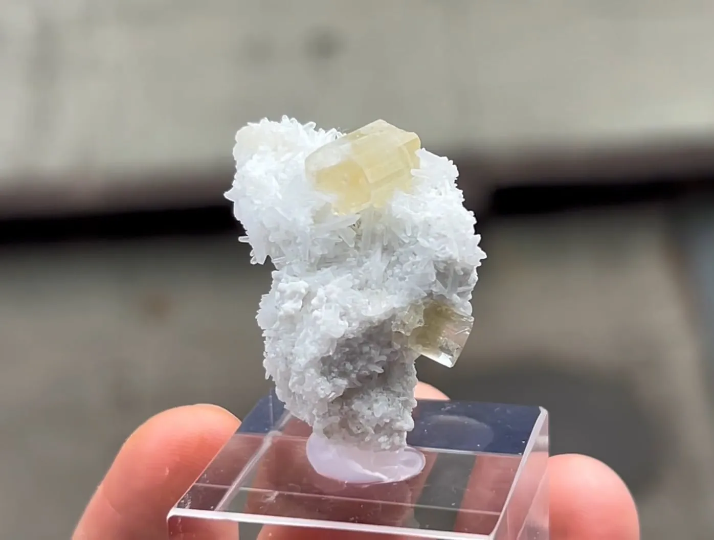Fluorapatite with Calcite and Quartz - image 5
