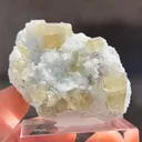 Fluorapatite with Calcite and Quartz - image 4