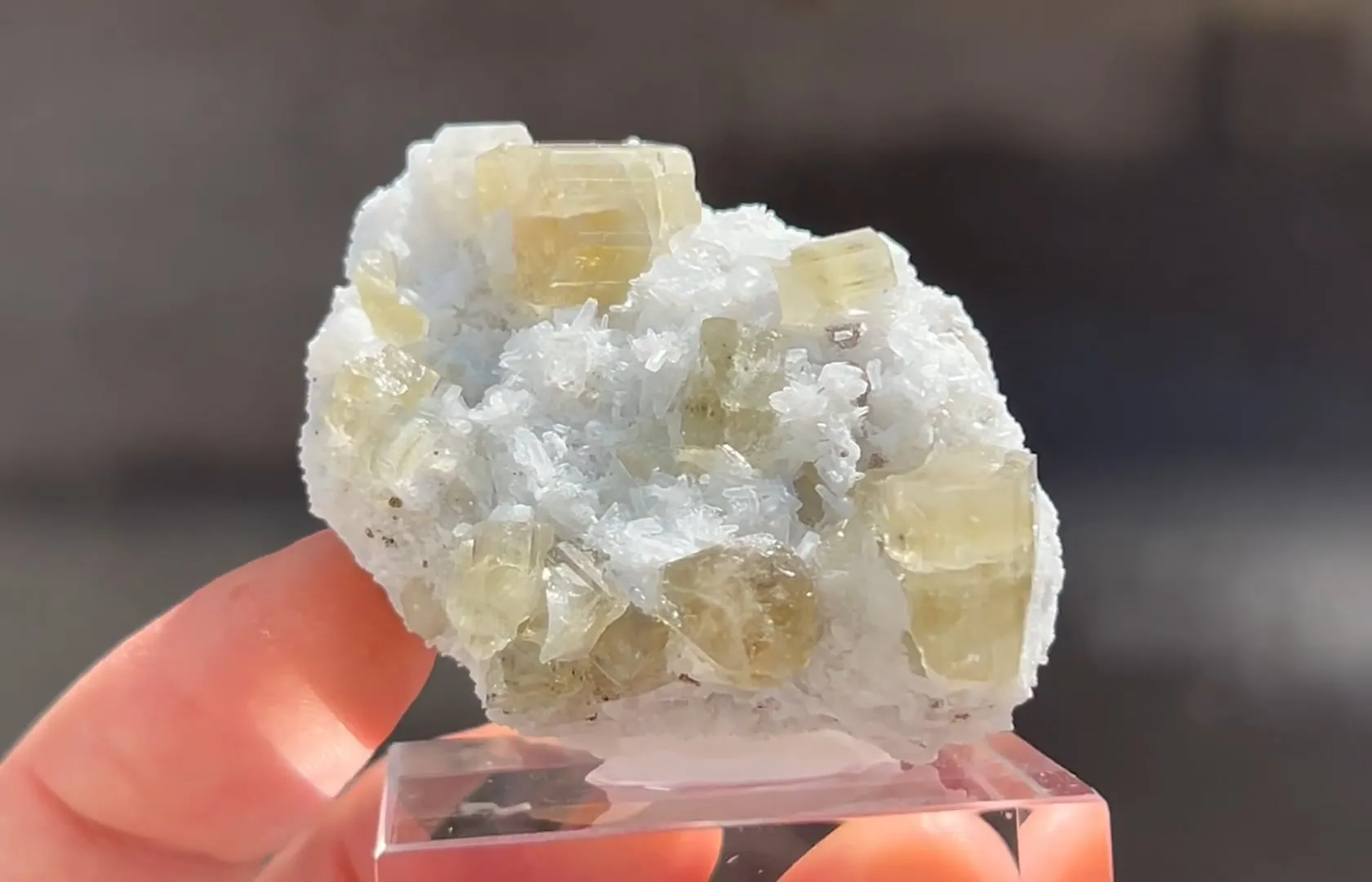 Fluorapatite with Calcite and Quartz - image 4