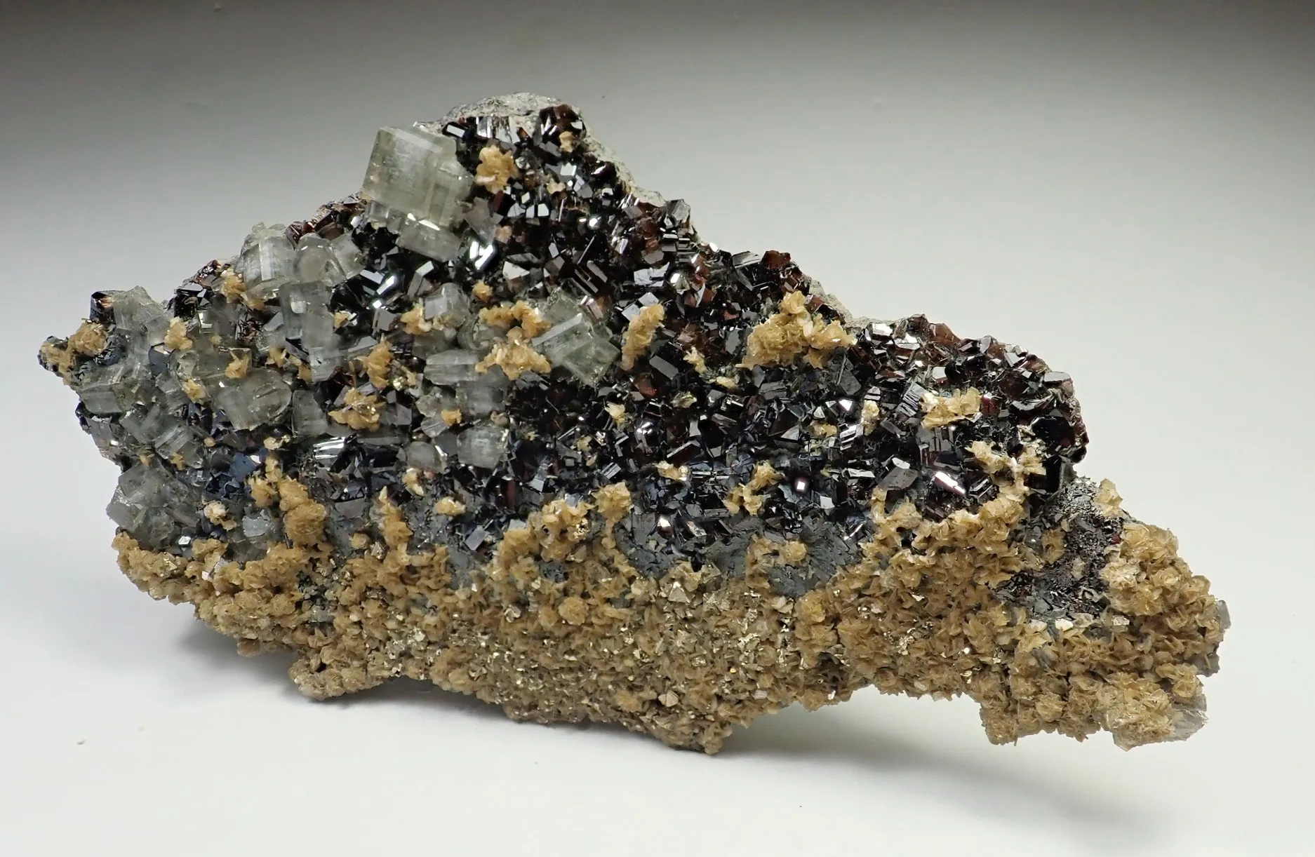 Fluorapatite with Cassiterite and Siderite - image 2