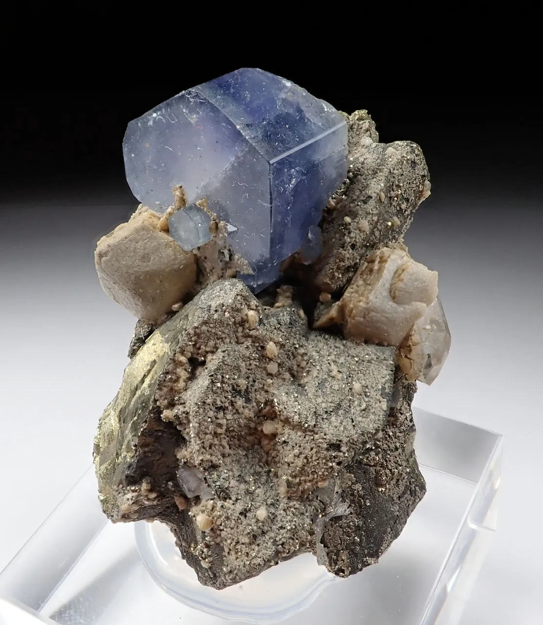 Fluorapatite with Chalcopyrite and Siderite - image 4