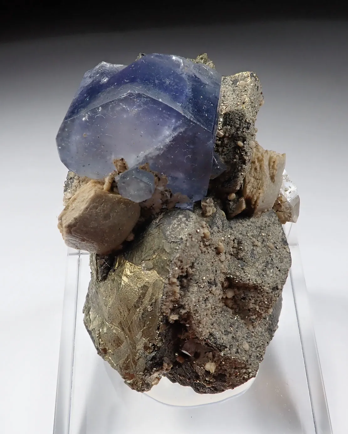 Fluorapatite with Chalcopyrite and Siderite - image 3