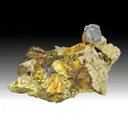 Fluorapatite with Chalcopyrite, Siderite - image 1