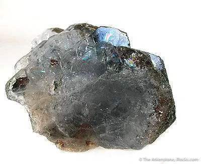 Fluorapatite With Chlorite - image 1
