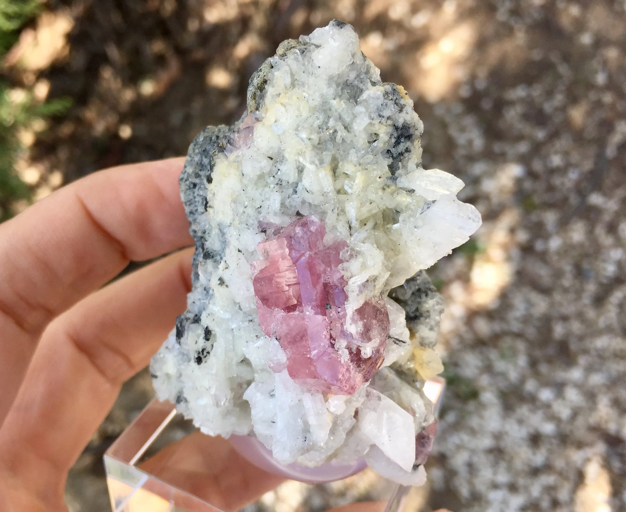 Fluorapatite with Dolomite and Albite - image 5