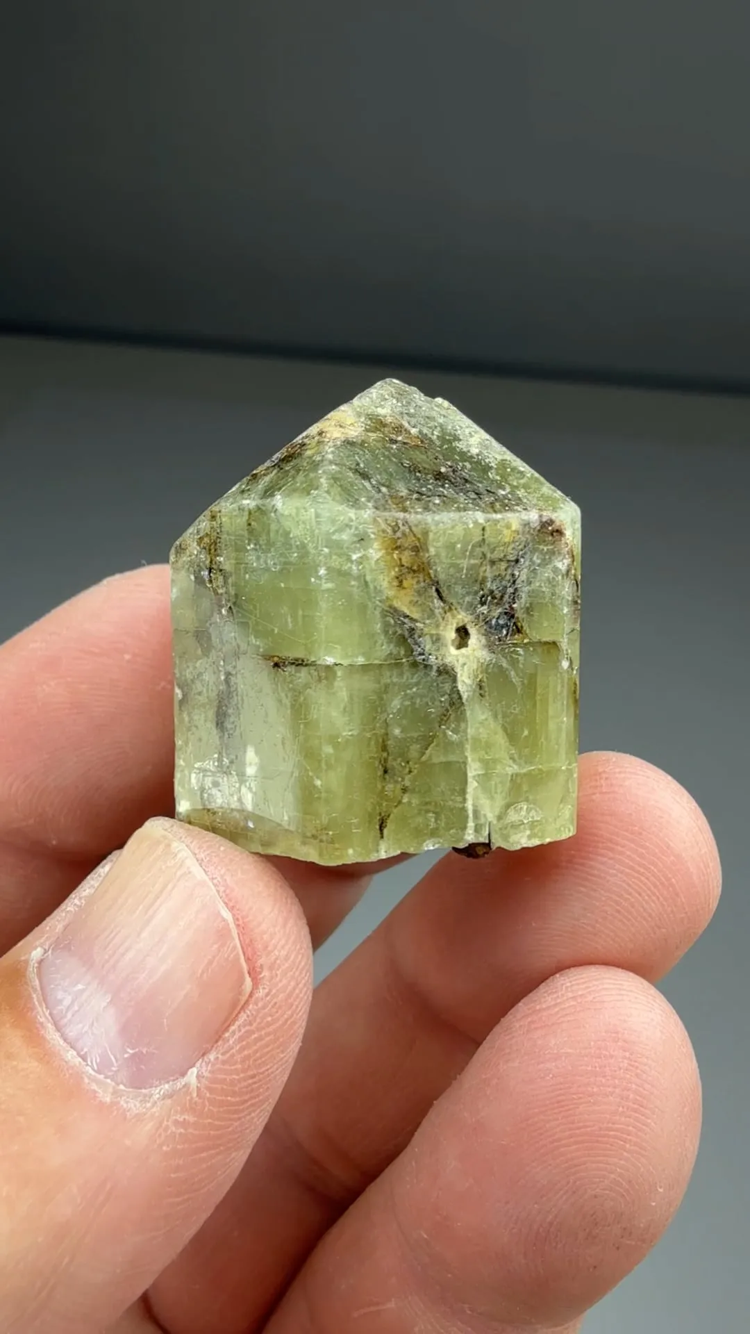 Fluorapatite with Epidote (2131) - image 2