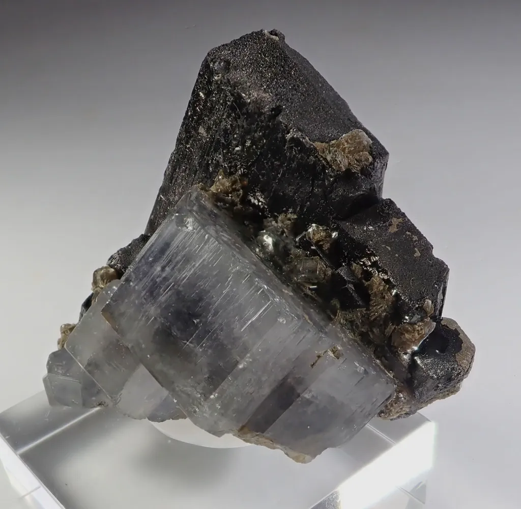 Fluorapatite with Ferberite - image 3