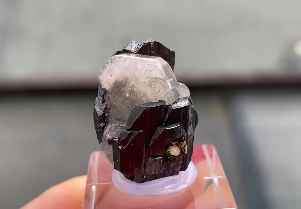 Fluorapatite with Ferberite image