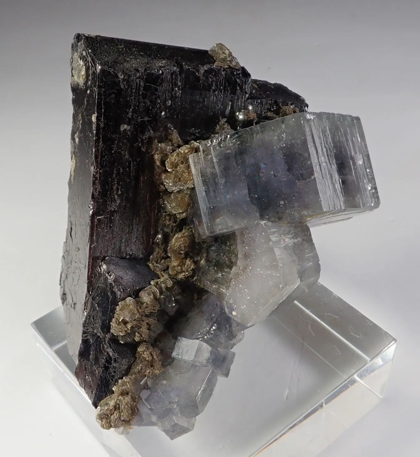 Fluorapatite with Ferberite - image 6