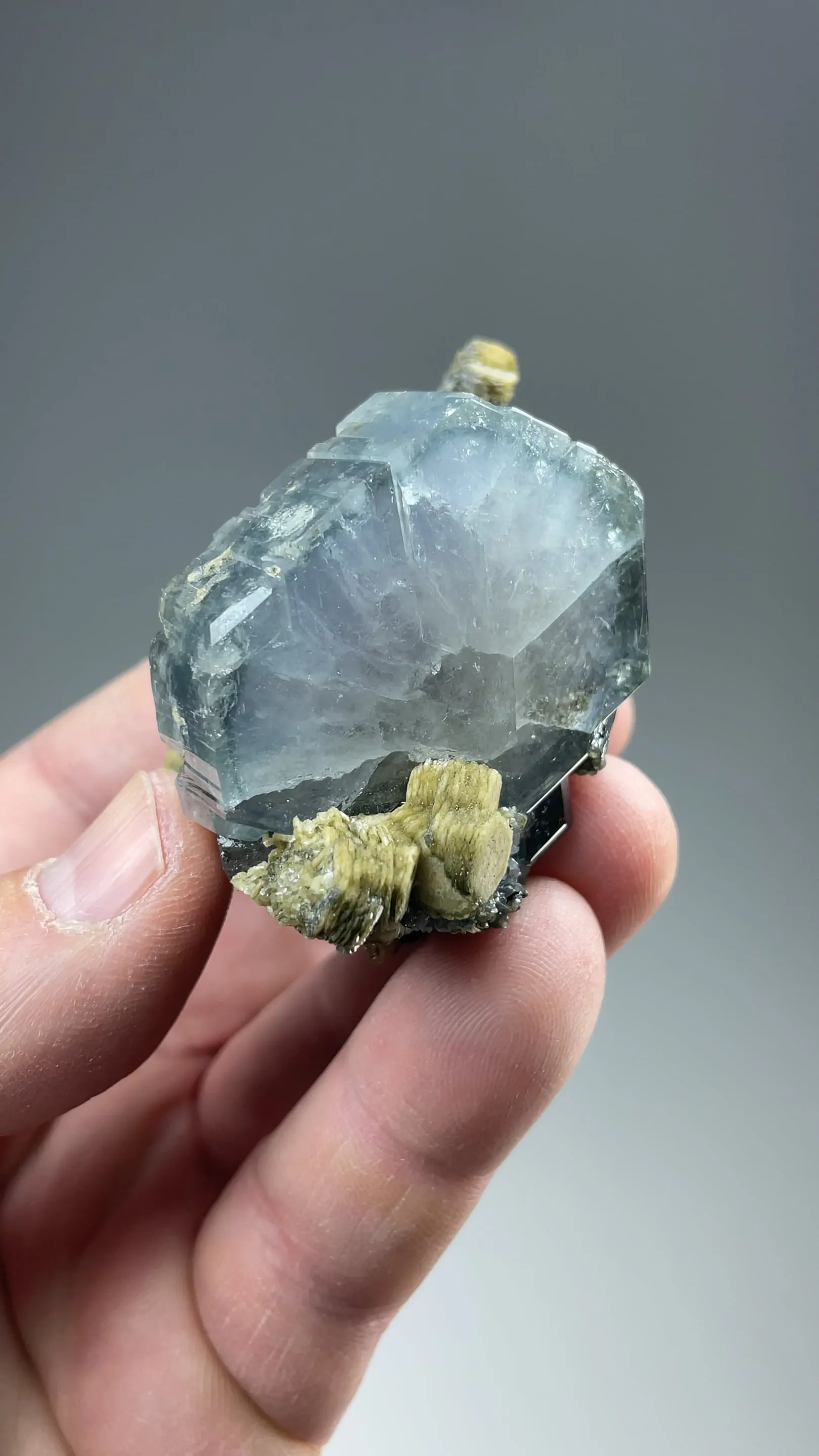 Fluorapatite with Ferberite, Siderite - image 2