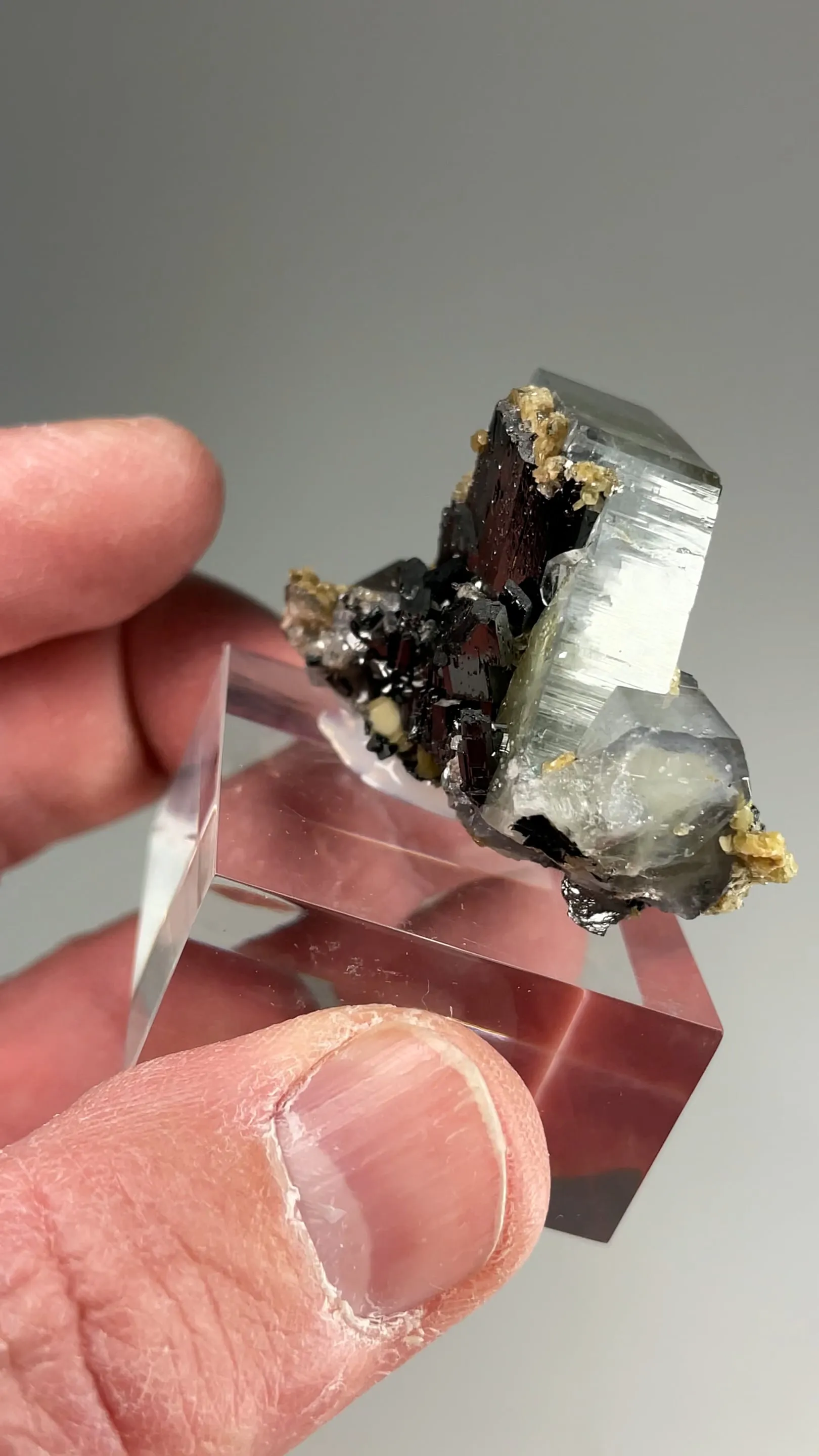 Fluorapatite with Ferberite, Siderite - image 2